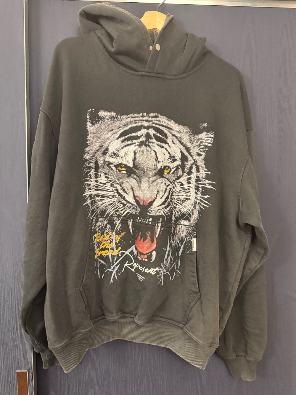Men's Gray Crewneck Hoodie with Tiger Graphic